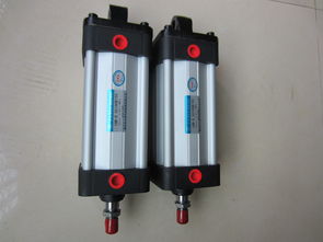 廣東可信賴的10b 5氣缸及磁偶?xì)飧坠?yīng)商推薦